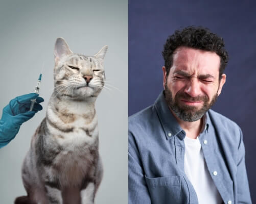 VACUNAS EN VUESTRO VETERINARIO DE SIEMPRE.
