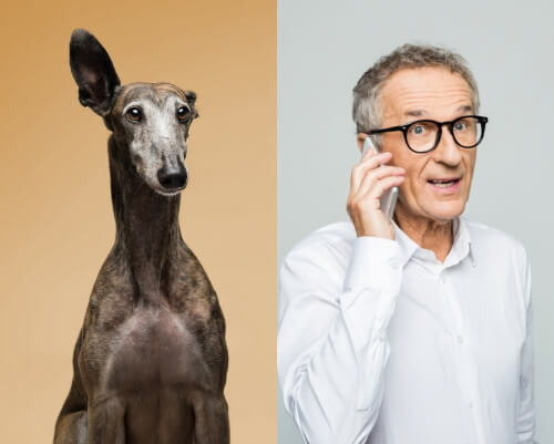 CONSULTAR CON UN VETERINARIO EN CUALQUIER LUGAR